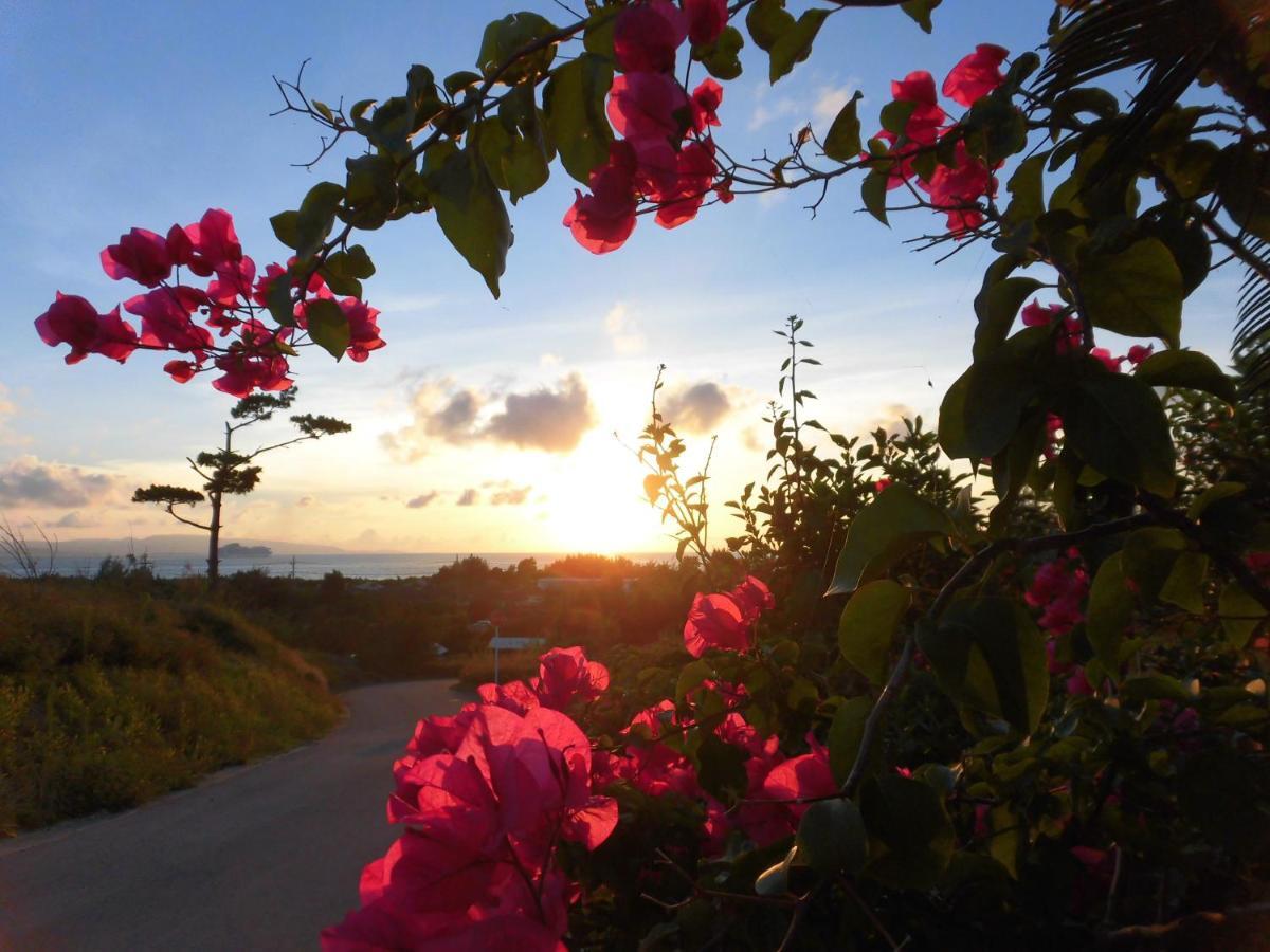 Sakura Resort Hotel Ishigaki Ishigaki  Exteriér fotografie